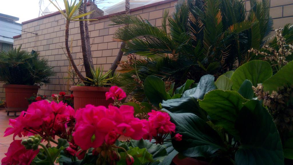 הוילה מטרה Casa Bilu' מראה חיצוני תמונה